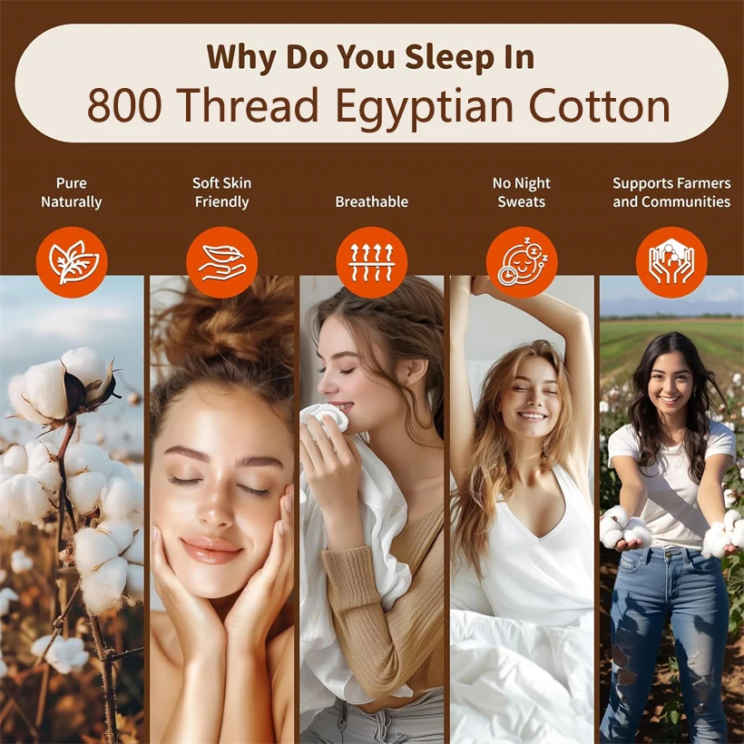 100% Organic Egyptian Cotton Pillow Case 2pcs 800TC Protect Hair Skin Pillowcase Customized Size Bedding Pillowcase Pillow Cover